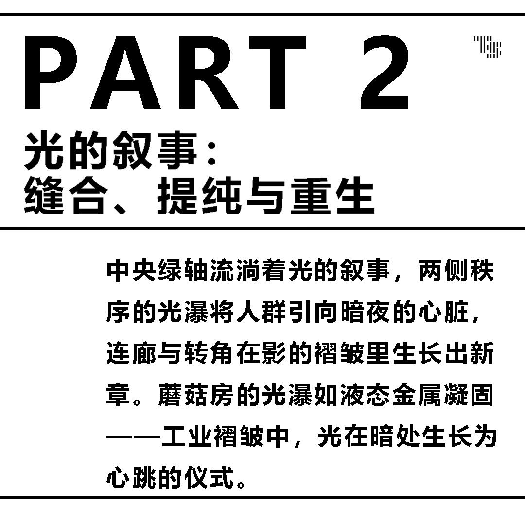 TS新作 | 越界·锦和尚城-38