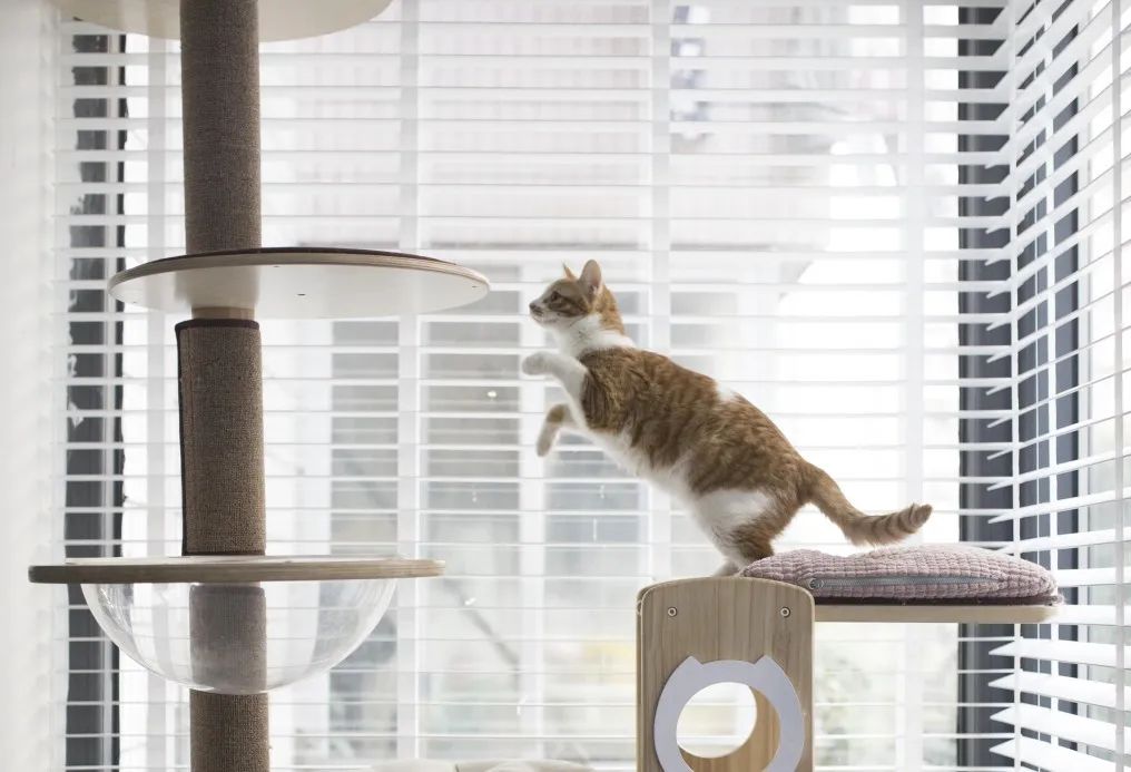 广州 64㎡小户型改造，9 步打造舒适生活空间-85