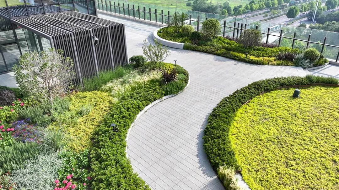 金螳螂|安徽省招标集团总部-20