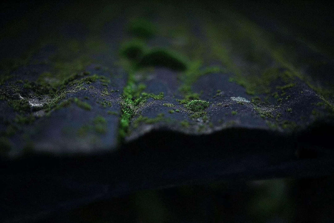 雨中探秘九龙湾山庄 | 茶空间与自然共生的宁静之美-18