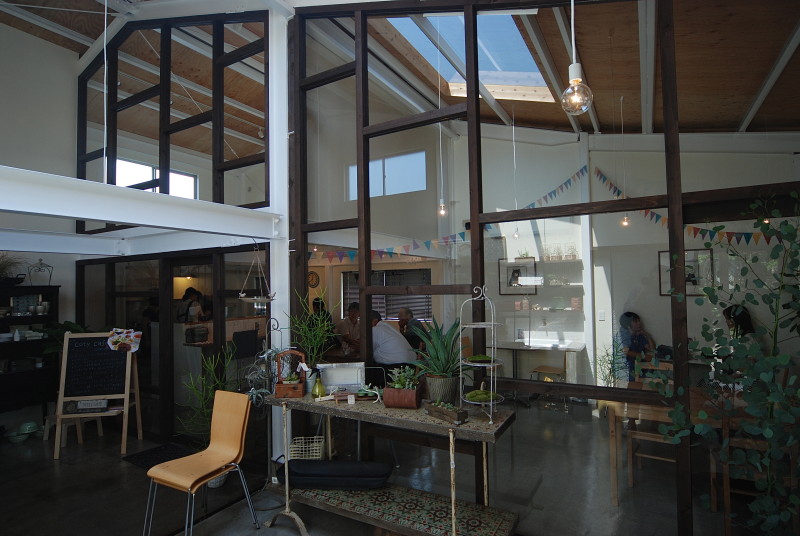 cotyledon #122  多肉植物専門店+カフェ丨日本宫崎丨有限会社COGITE-10