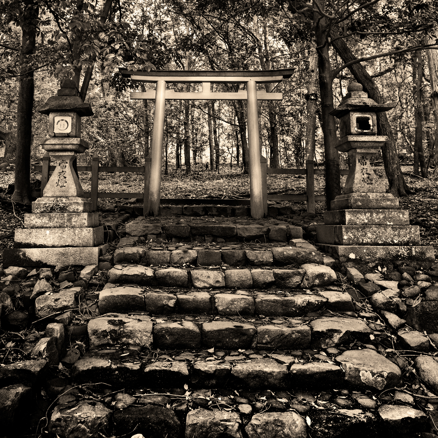 日本和样建筑丨日本奈良丨WAYOU KENCHIKU-3