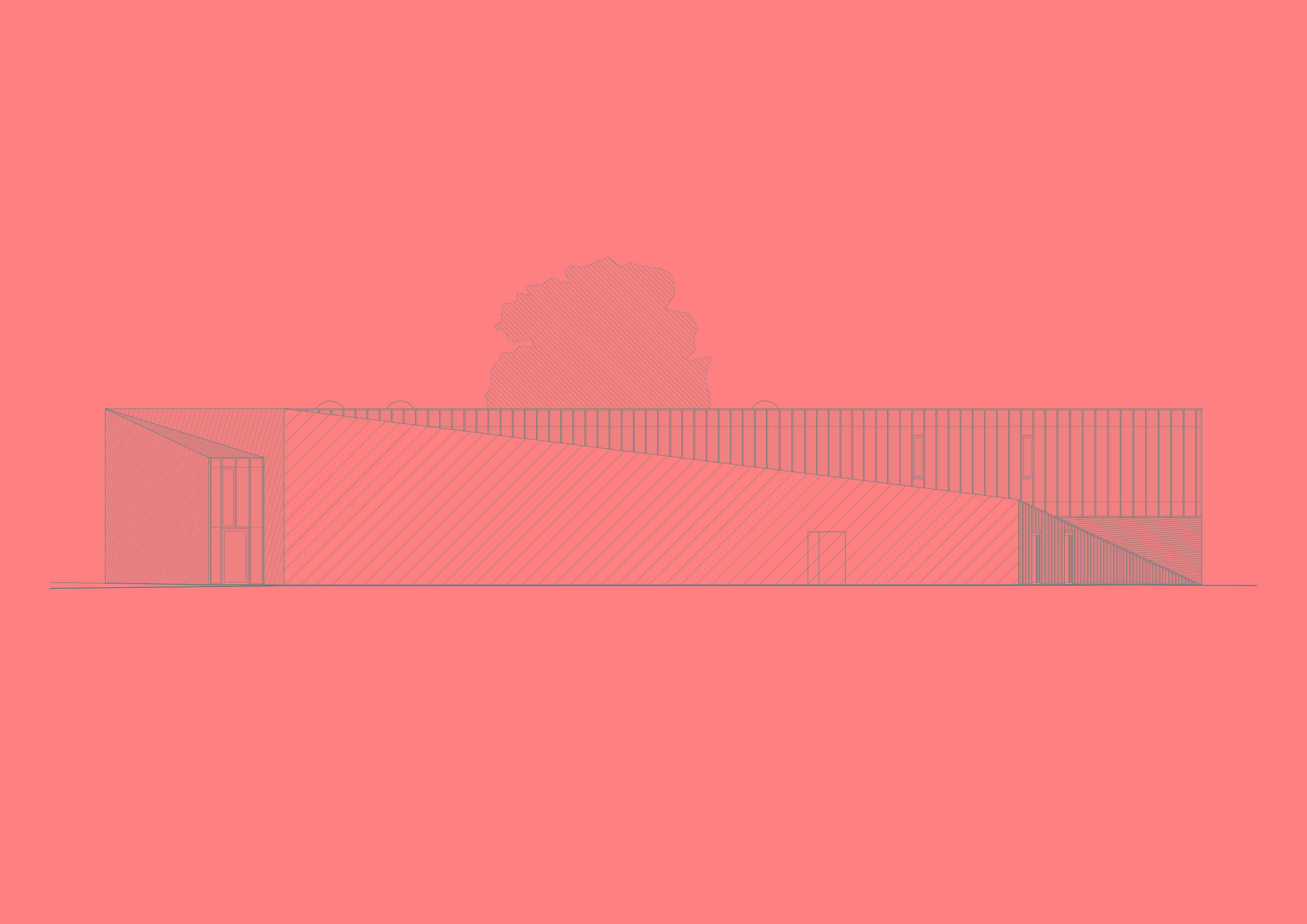 立陶宛篮球之家丨立陶宛考纳斯-45