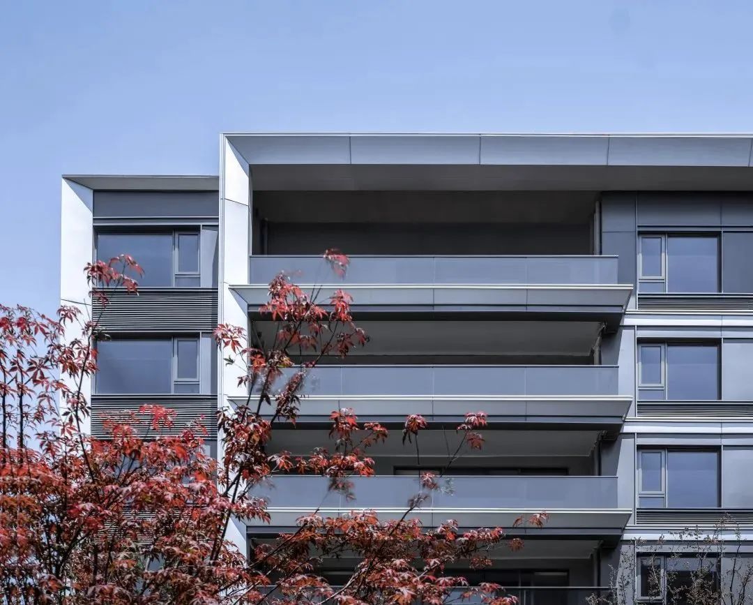 中南作品 | 杭州棠玥湾，屹立城市的艺术坐标-21