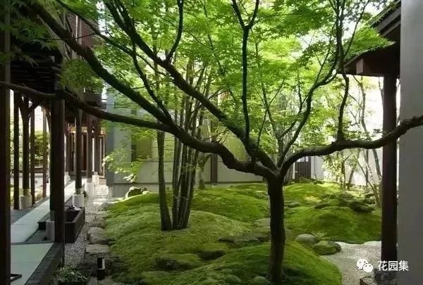 最美不过苔造园,探寻东方庭院的诗意之美-3
