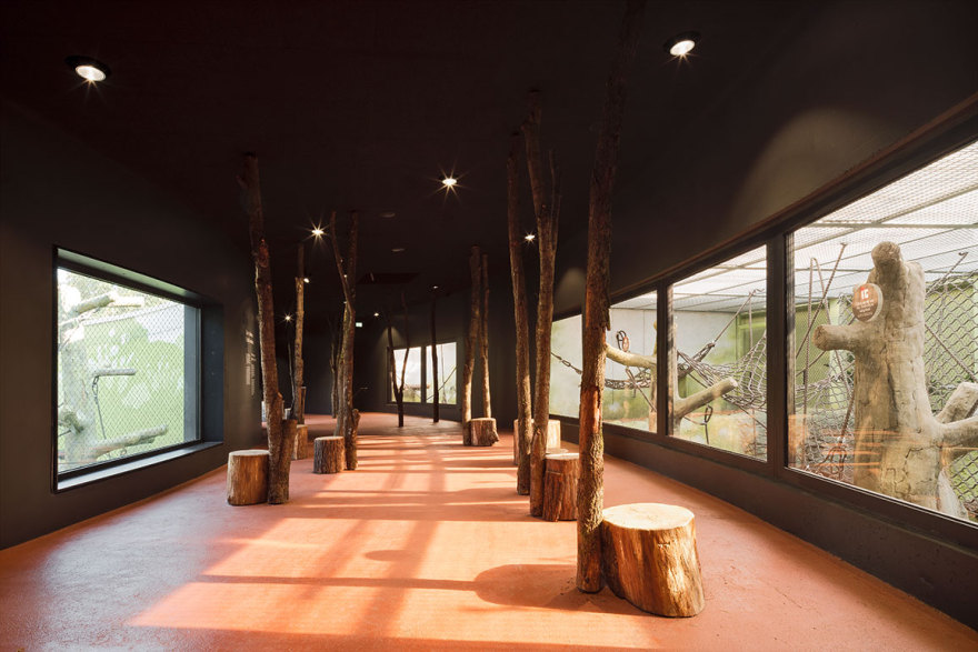 德累斯顿动物园猩猩馆丨德国德累斯顿丨未明确提及室内设计方,合作有Rehwaldt景观建筑师事务所-15