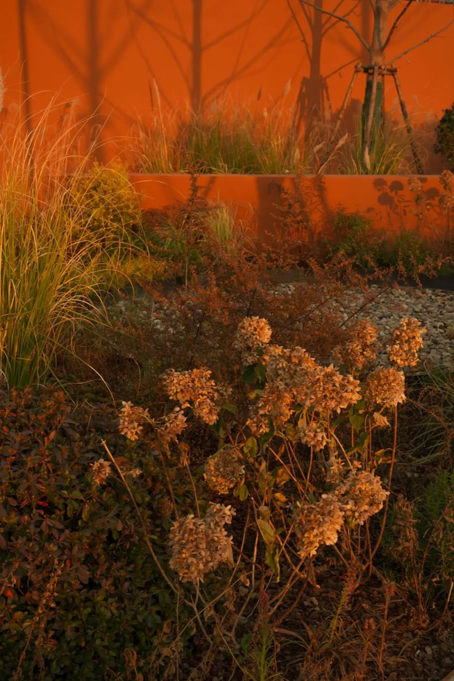 安吉爱家·霖溪谷丨中国浙江丨MBDI廿一禾景观设计有限公司-0