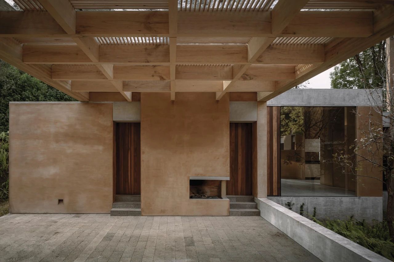 蕨类植物丨墨西哥丨Taller Hector Barroso-17