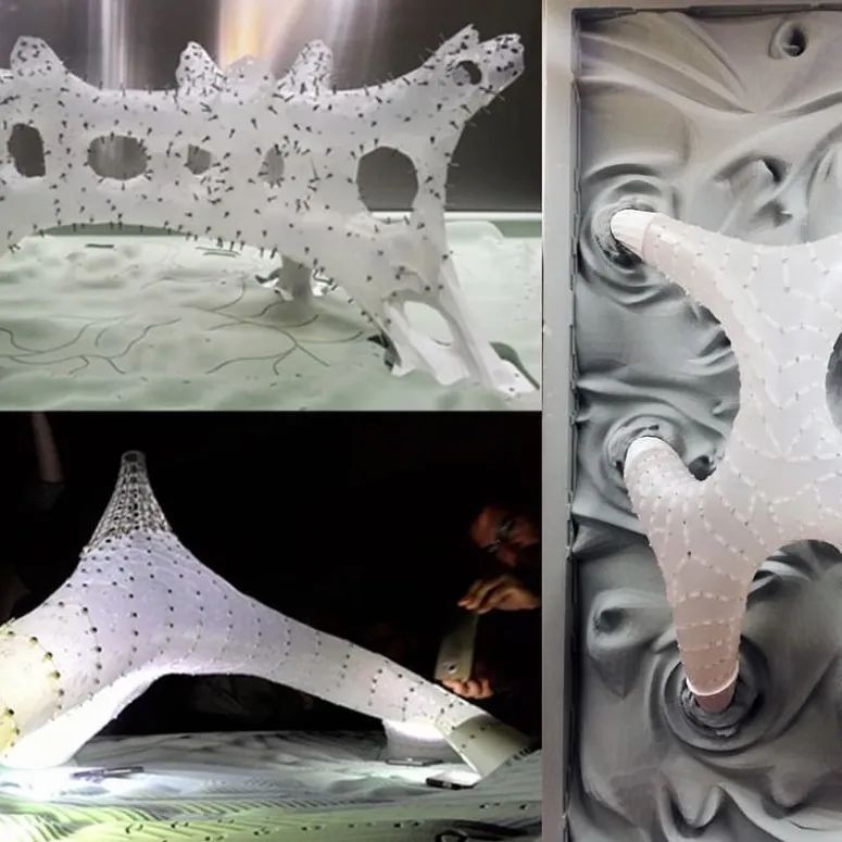 数字未来 2020 全球抗疫公益数字工作营全导师阵容揭晓！-218