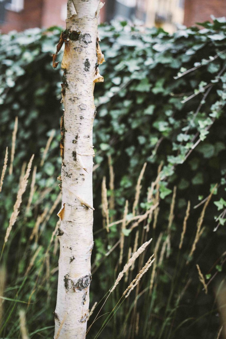 Garden by Anna（斯德哥尔摩现代功能性内院）丨瑞典斯德哥尔摩-4