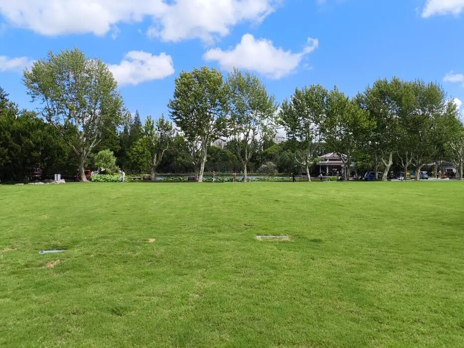 中国园林·理事专栏|“拓”之力量：杨浦公园改造纪实(三)-170