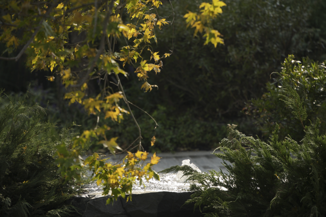 礼序东方 盛京游园 | 沈阳万科·胤樾-101
