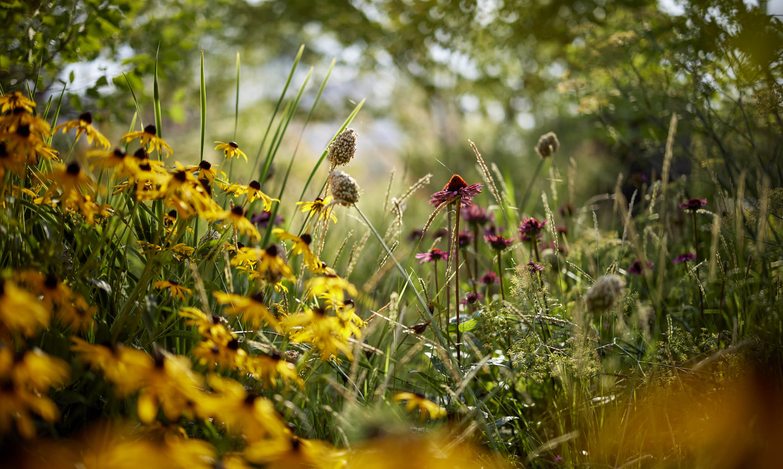 荷兰世园会  自然之境丨荷兰阿尔梅勒丨Stefano Marinaz景观公司（SMLA）-40