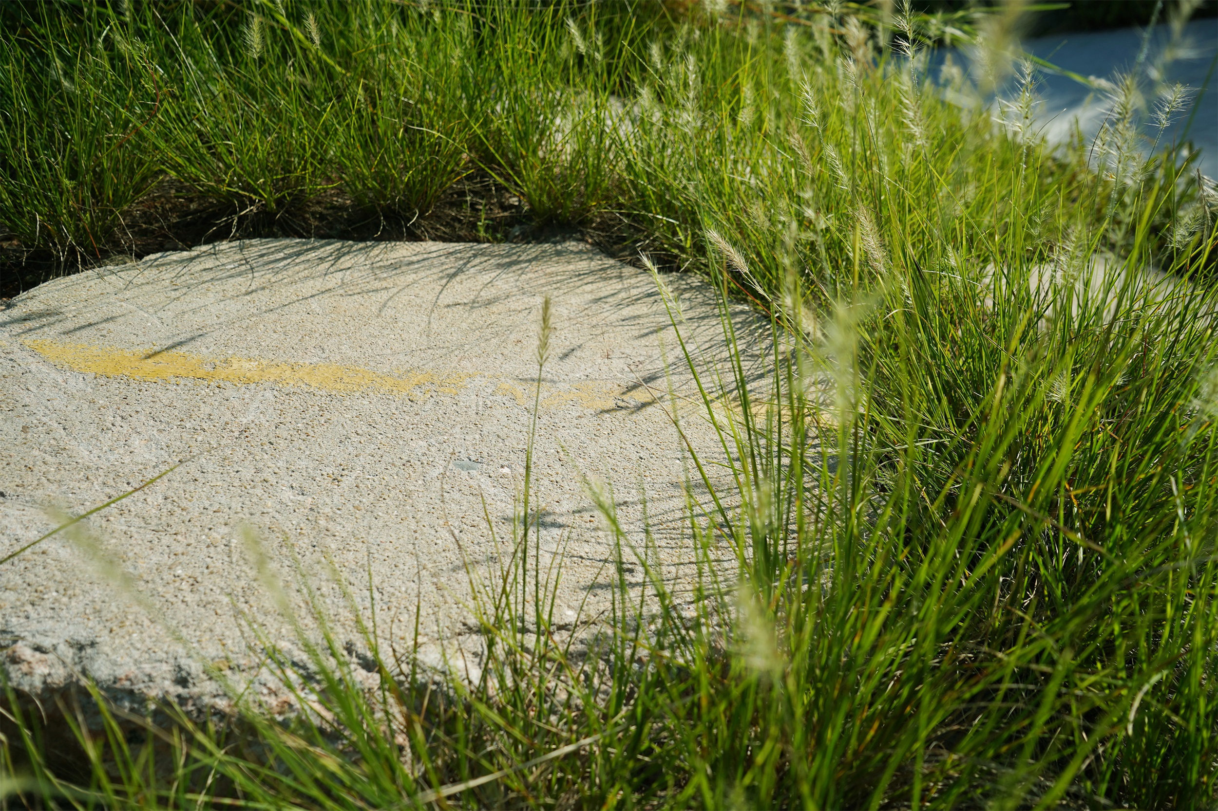 废弃地重生 · 深圳梅丰社区公园激活社区生活丨深圳自组空间-37