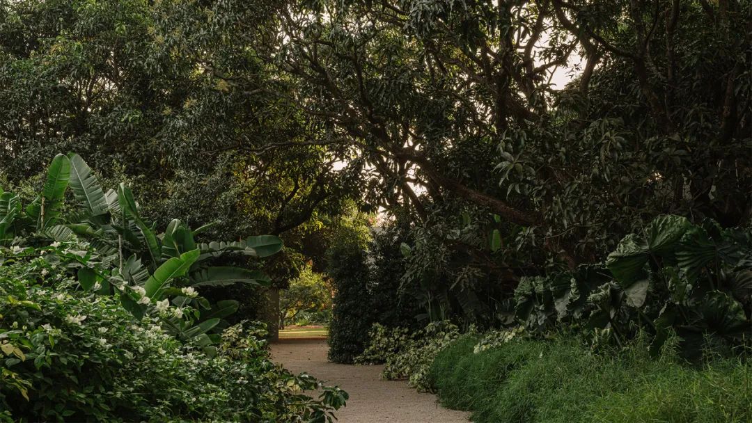 DUA Villa丨印度尼西亚丨Architecture BRIO Kunal Maniar-1