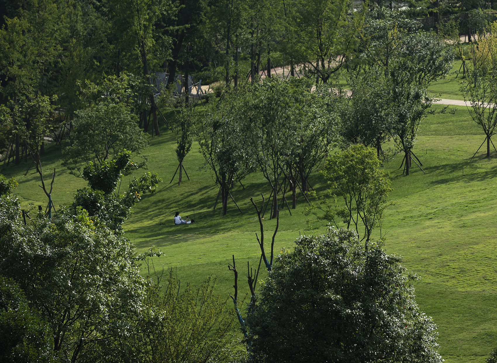 贵州安顺虹山湖市民公园-44