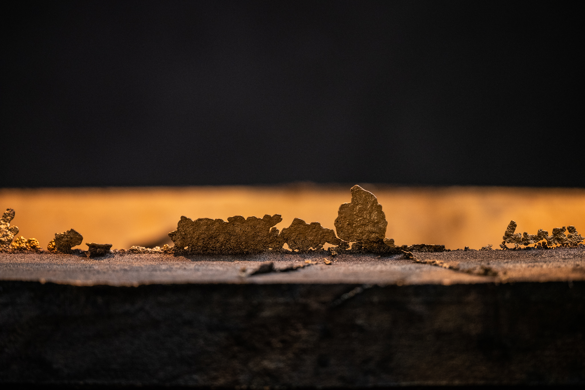 Sharks at The Jane - Dieter Vander Velpen Architects-12