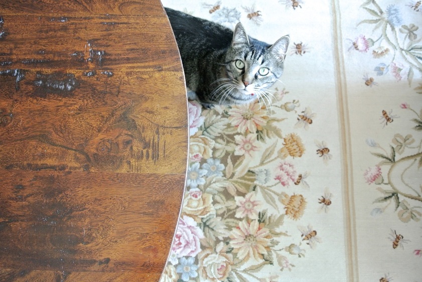 第十西街重新设计丨blog  the redesign company-31