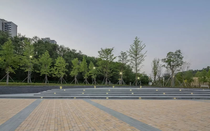 香港中文大学(深圳)思廷学院丨中国深圳-60