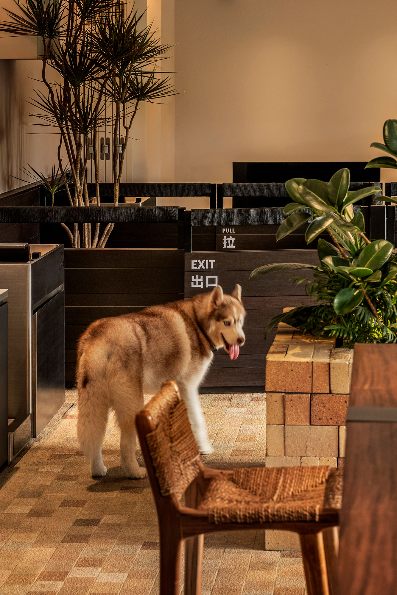 咖啡店丨中国深圳丨Pure & Wild Studio朴野设计-42