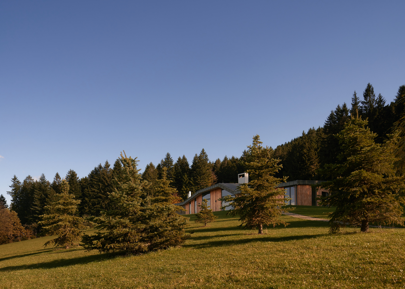 融合自然与现代的木石别墅丨捷克丨WMA architects-37