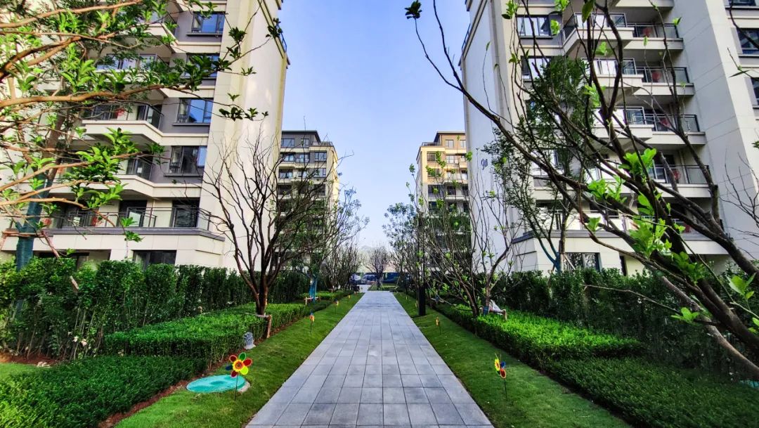 归心交付｜晓风澜庭一期交付，打开滨江都会生活之门-74