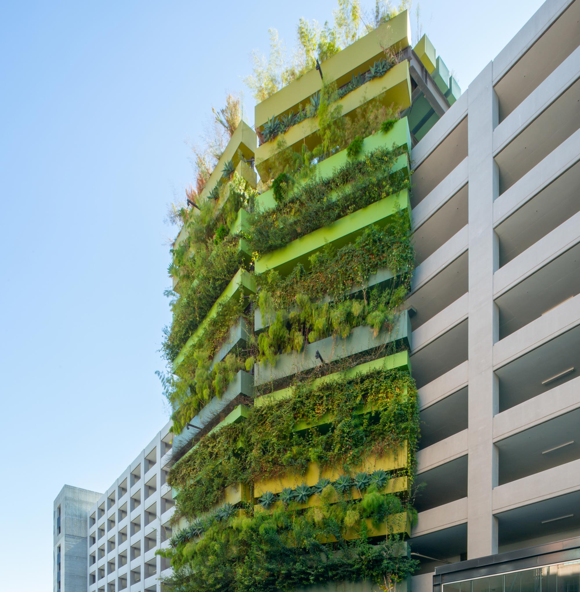 行 DTLA：精致的坚韧丨美国洛杉矶-0