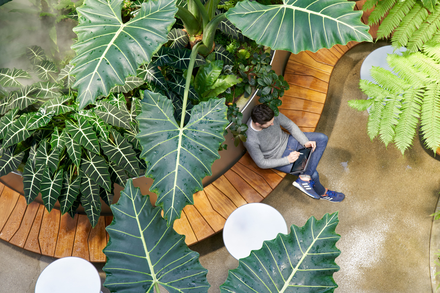 绿意盎然 Amazon Spheres 室内设计赏析-13