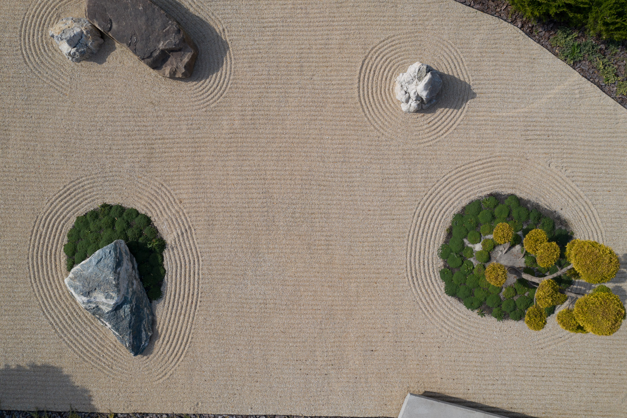 Autumn in Baan Bubble | Nat Telichenko-27