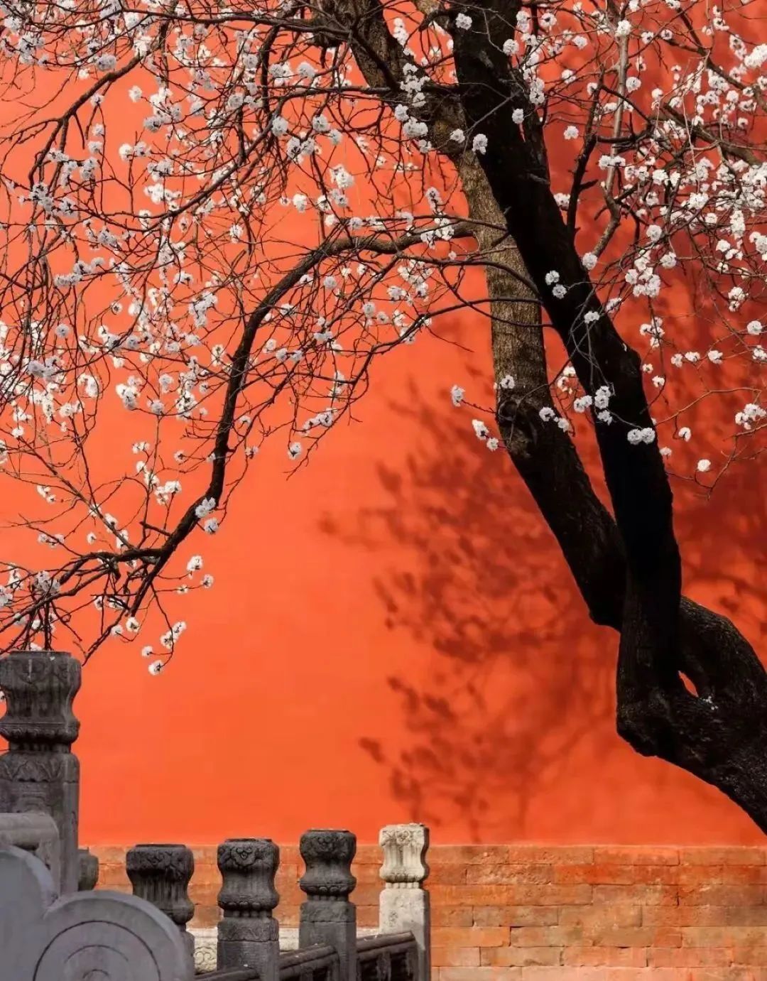 悠然南山丨中国宁波丨橙熹设计-2