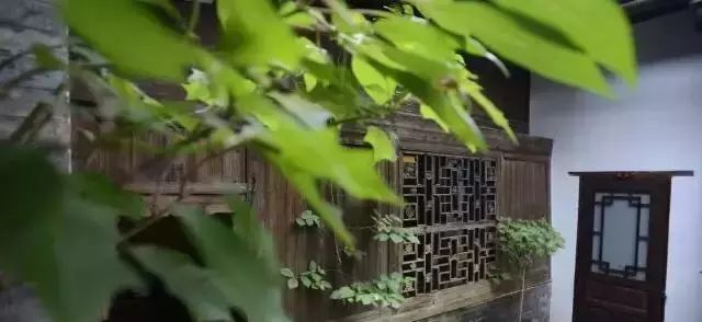 余生，一座小院，粗茶淡饭，爱人在侧-38