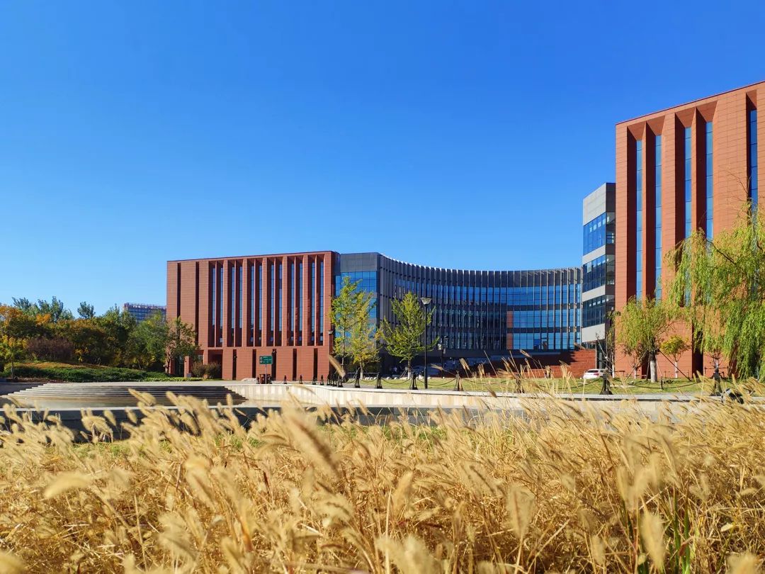 天津科技大学体育馆 | 圆形空间处理轴线关系，多功能轻维护-12