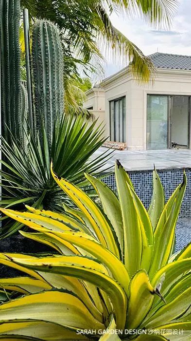 悠闲度假花园 ▎三亚蓝湾小镇-23