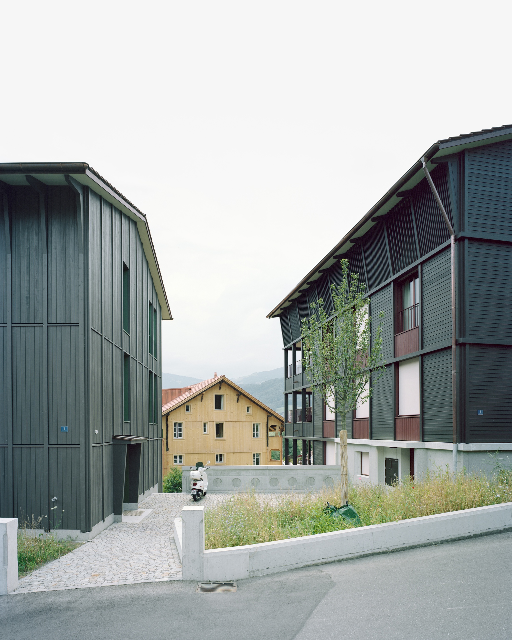 丨瑞士丨Seilerlinhart-15