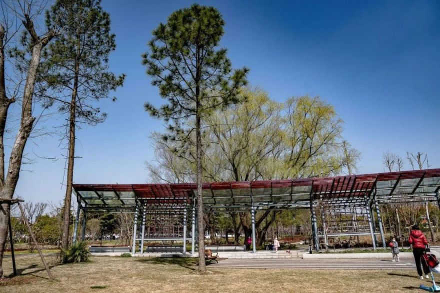 上海松江方松体育公园-71