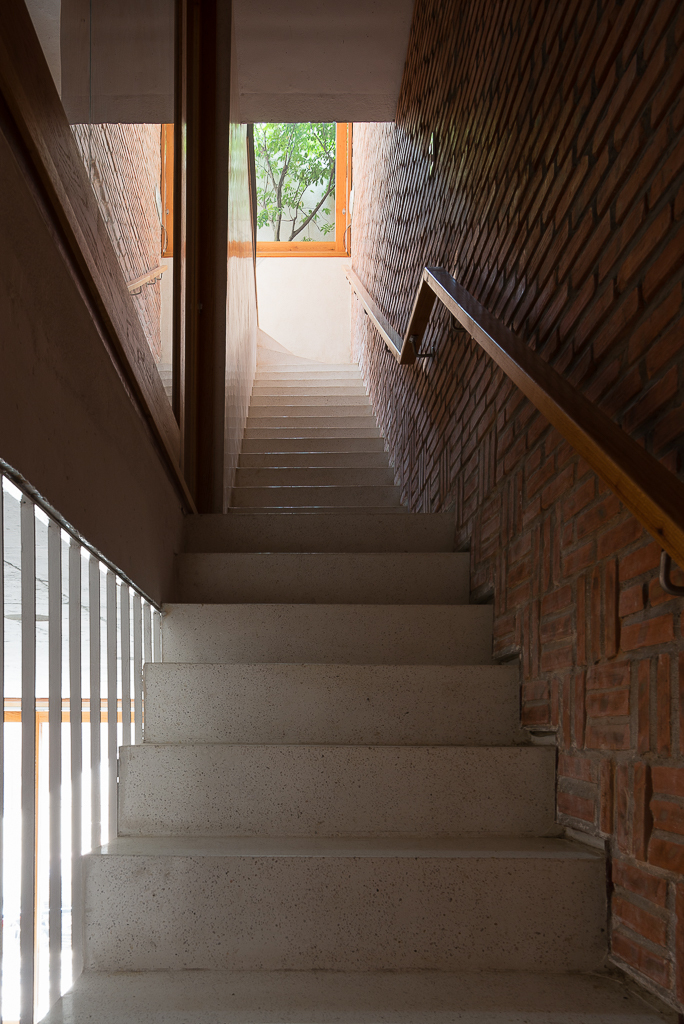 LIB 图书馆之家 | 绿意盎然的书香空间-5