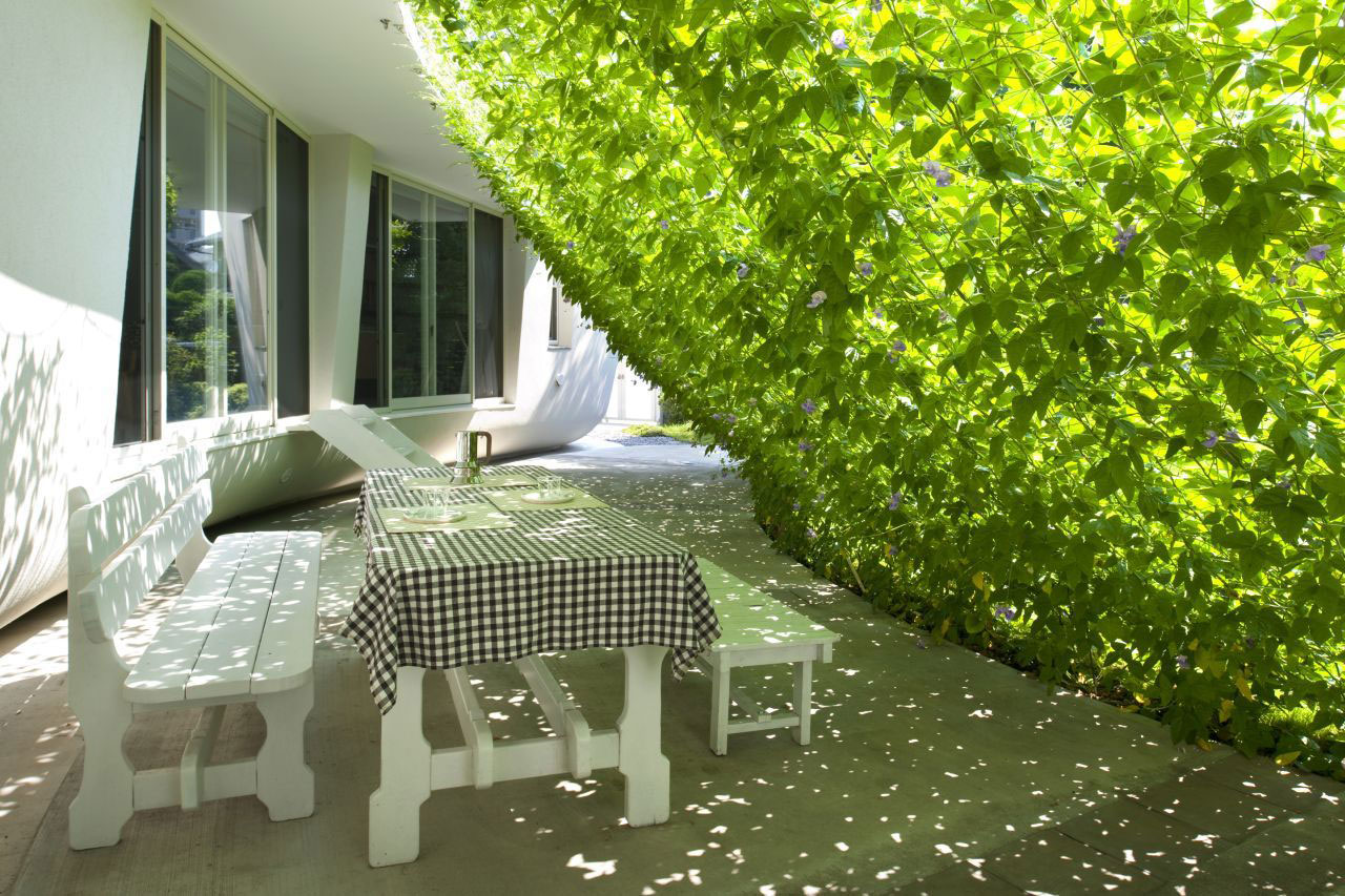 豪华别墅 现代风格一个有绿色屏障设计的弧型 日本 埼玉-14