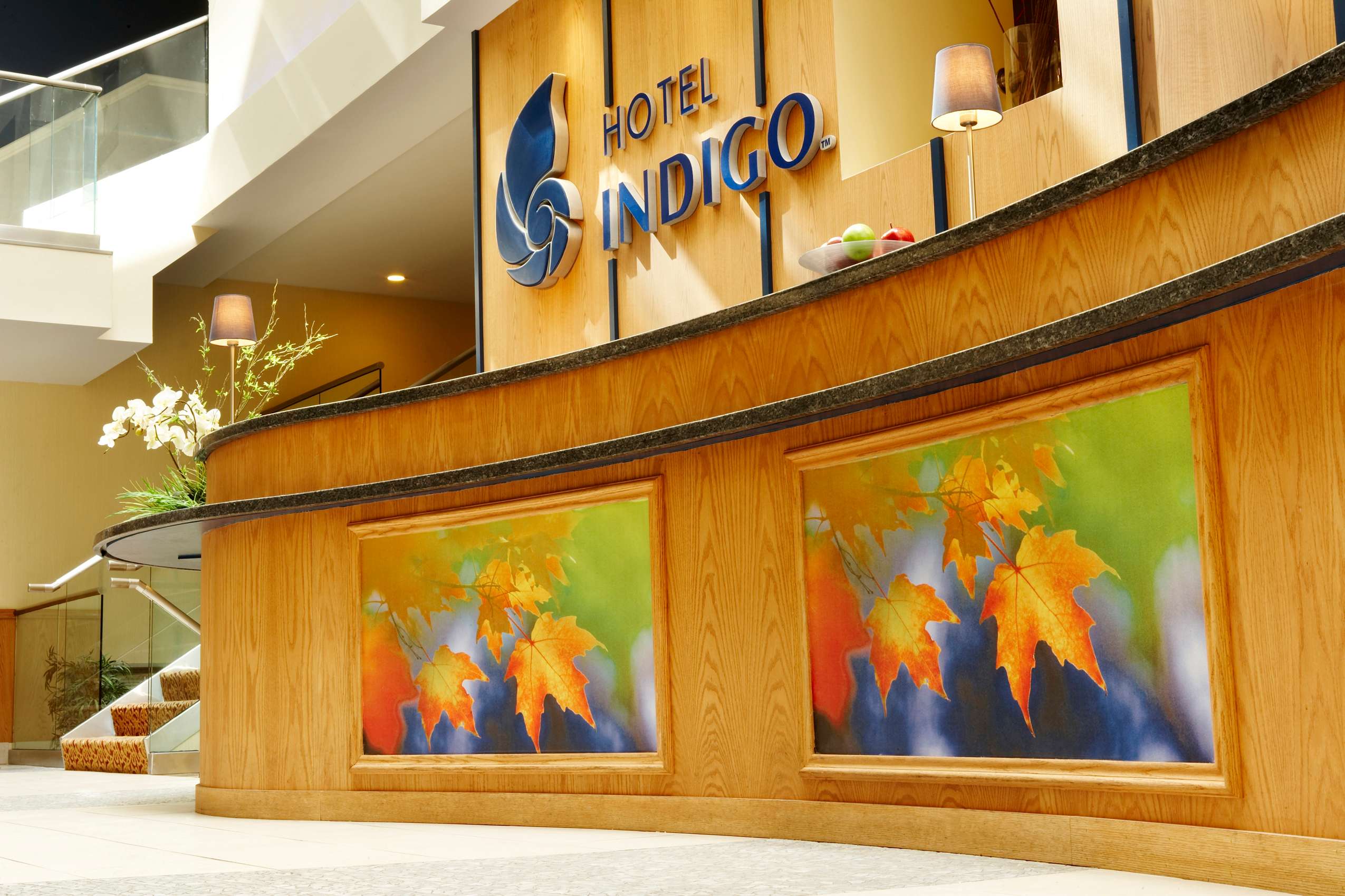 HOTEL INDIGO DWNTWNCITY CENTRE-9