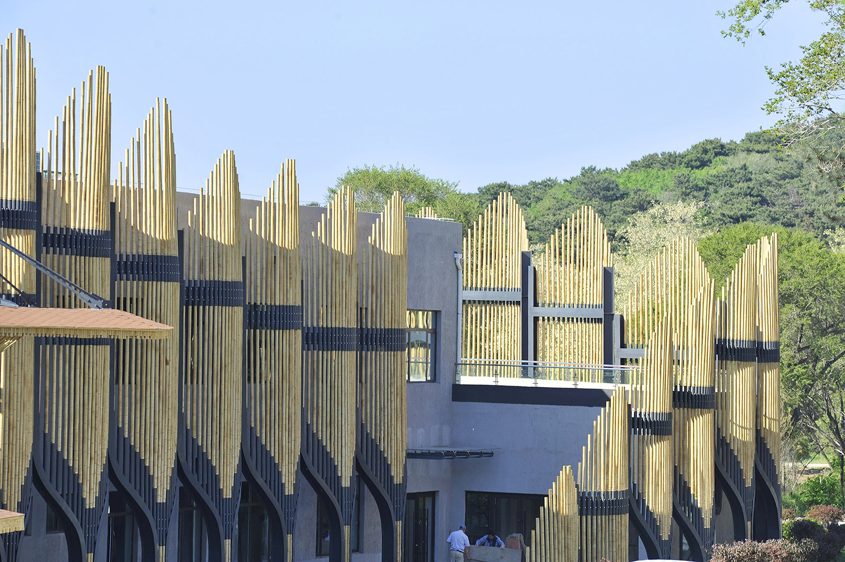 沈阳森林动物园熊猫馆 / 沈阳建筑大学HA+建筑方案创意工作室-11