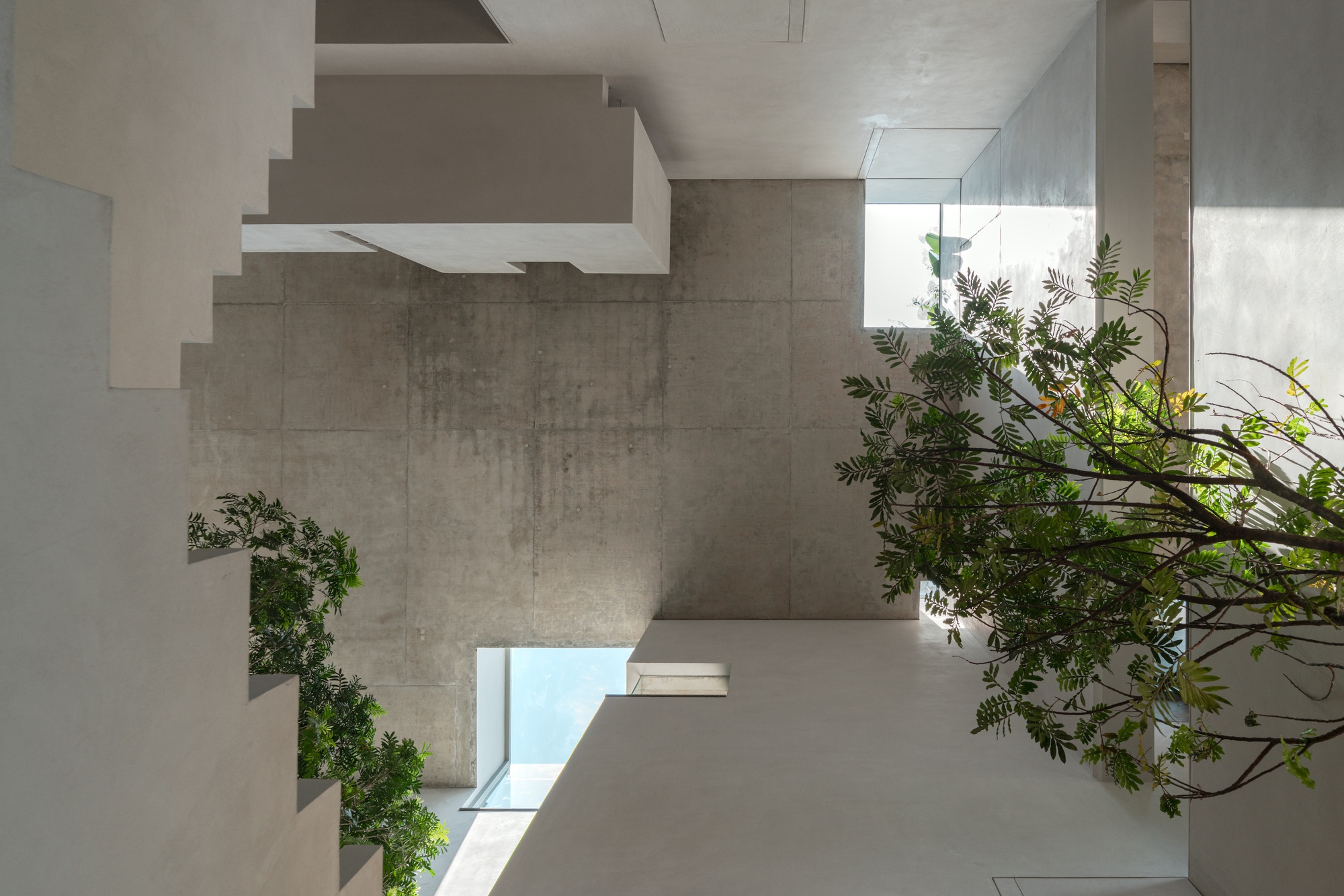 阶梯井屋丨印度班加罗尔丨A Threshold-22