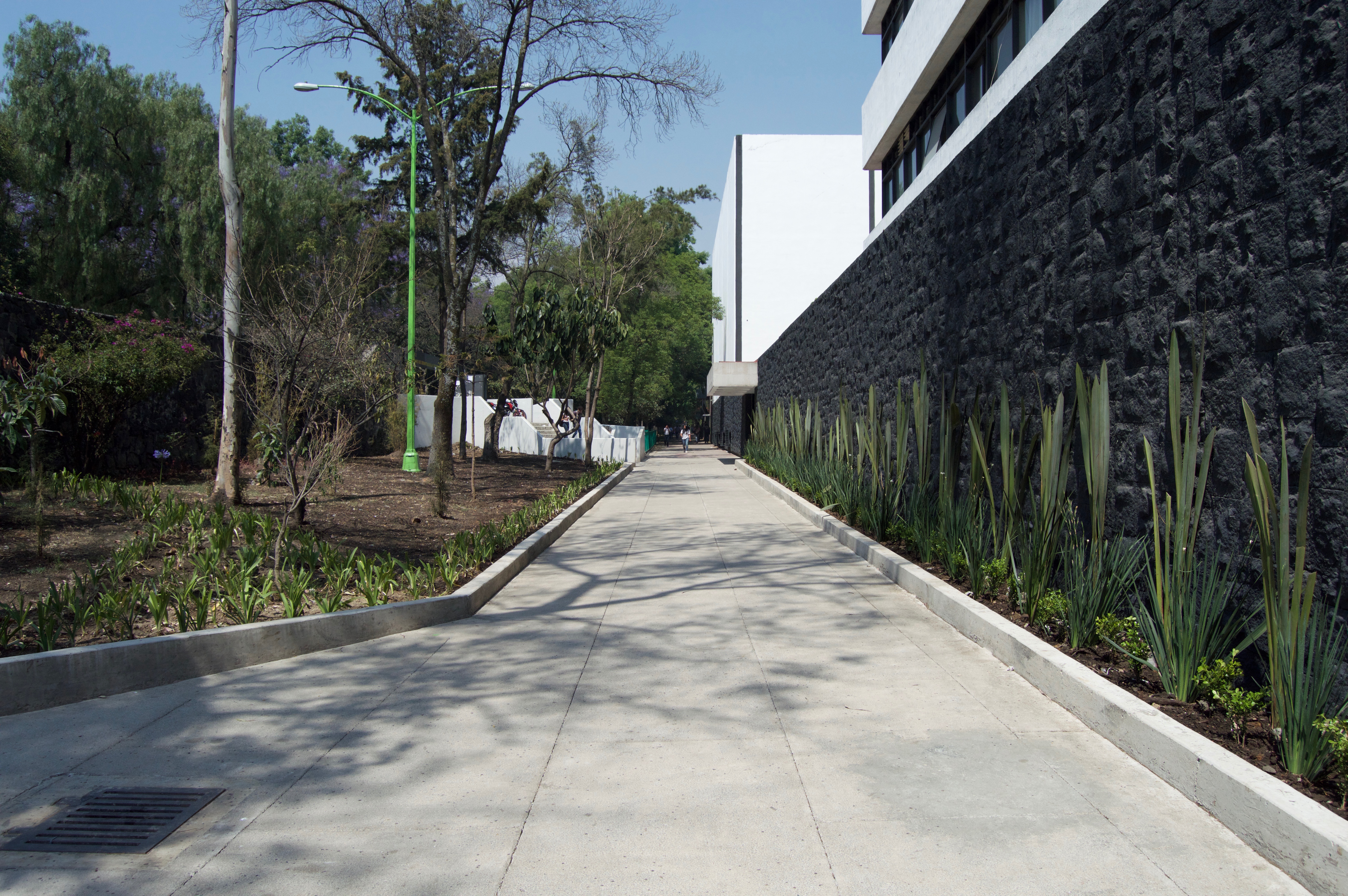 Mejoramiento Urbano // Paseo de la Facultades, CU.-12