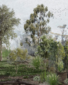 韧性反思丨AustraliaLaunceston