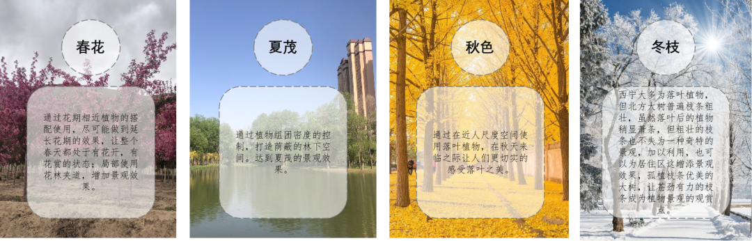 西宁万科城的美好生活场景，城市绿洲为西宁而定制 | 西宁·万科城一期-139