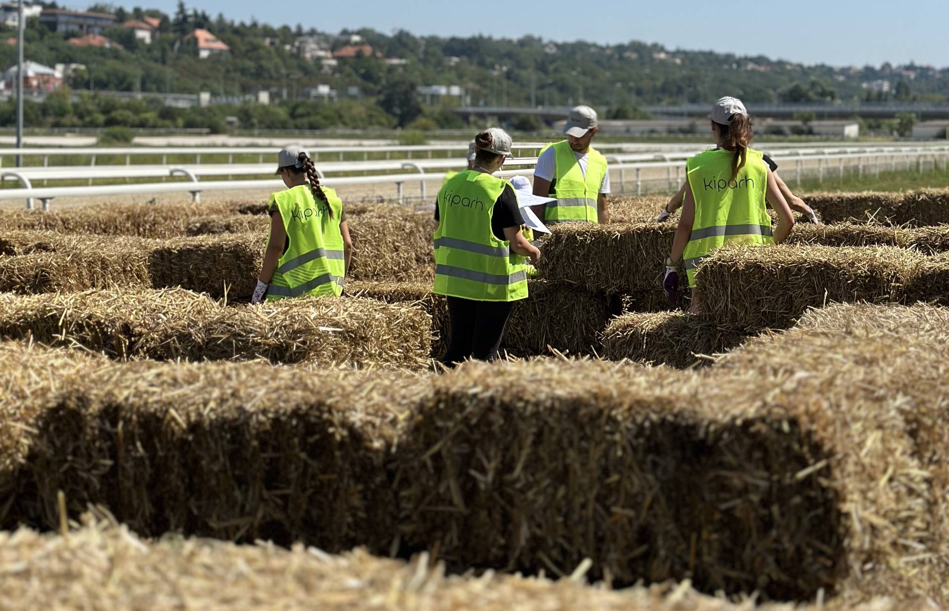 丨贝尔格莱德丨贝尔格莱德建筑学校（Kiparh相关人员）-0