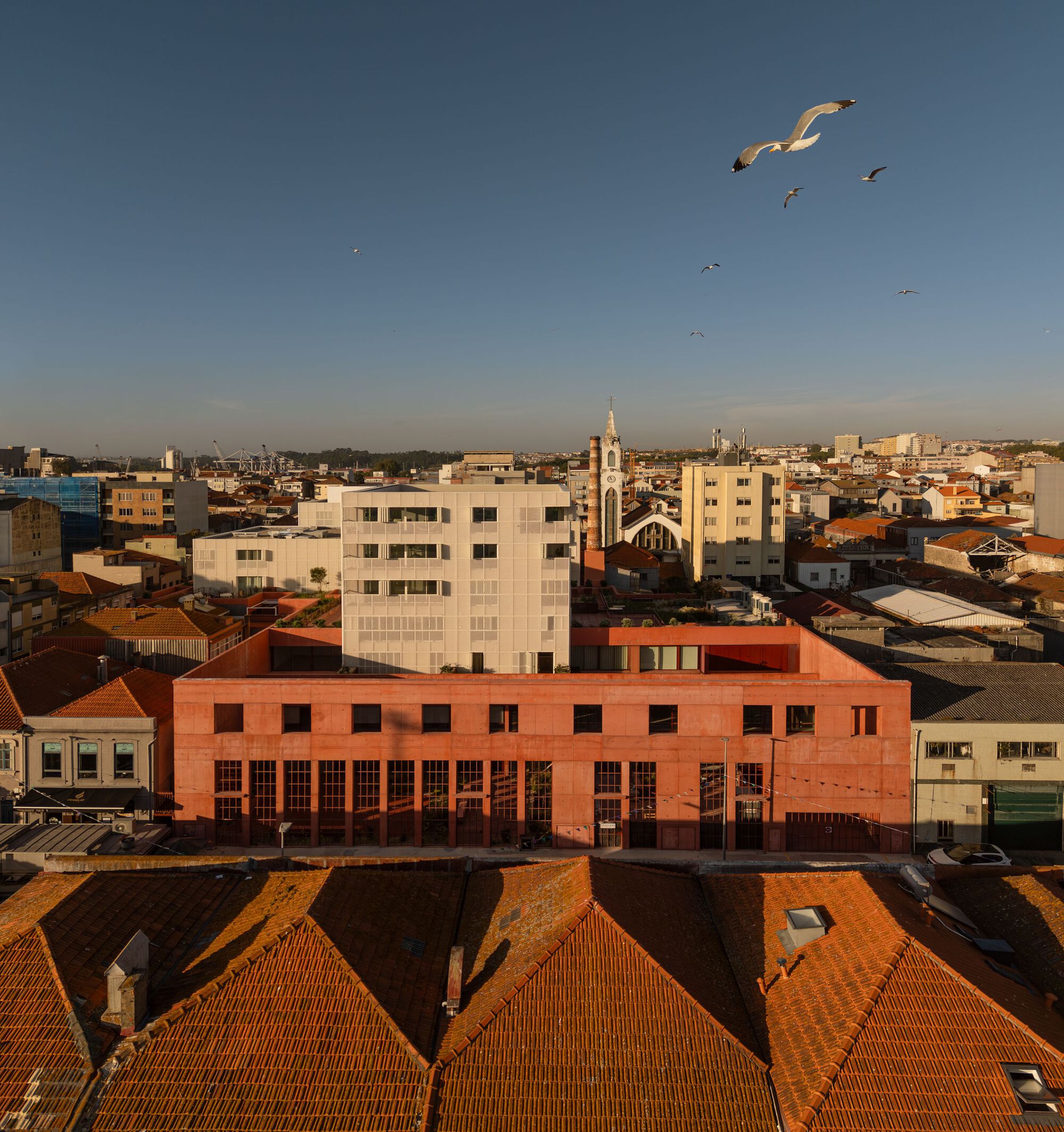 罐头厂外立面改造丨葡萄牙丨OODA-6