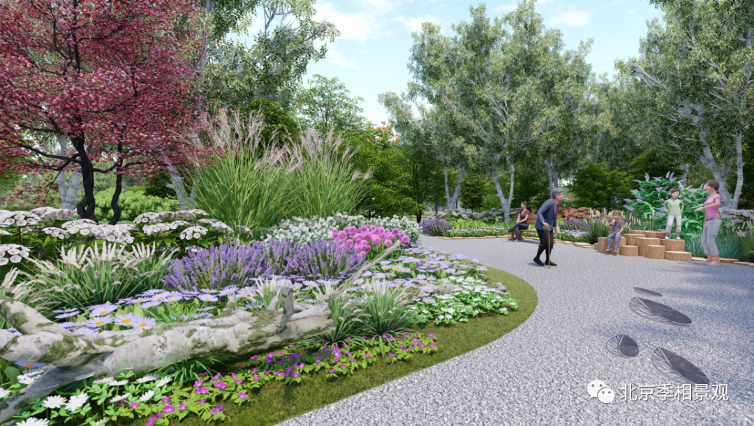 临沂湖台遗址公园景观提升设计丨中国临沂丨北京季相景观-21