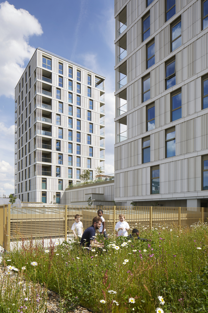 老虎之路(Tiger Way)-33