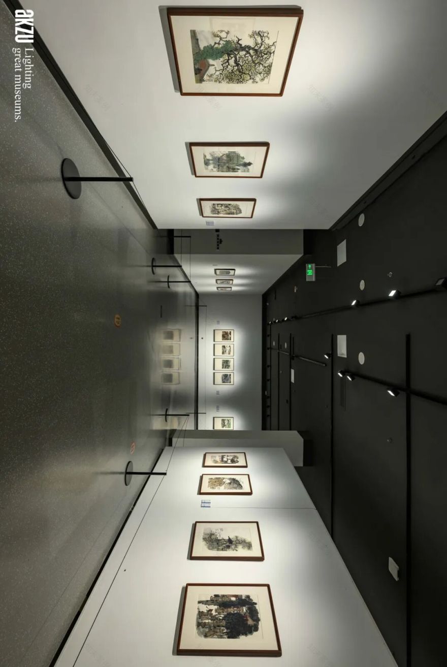 埃克苏美术馆照明项目|岳阳市美术馆:《在东方|画里中国诗意巴陵·当代中国画作品展》-40