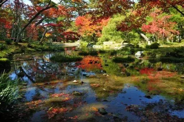 日本最美20个庭院，你更中意哪一个？-60