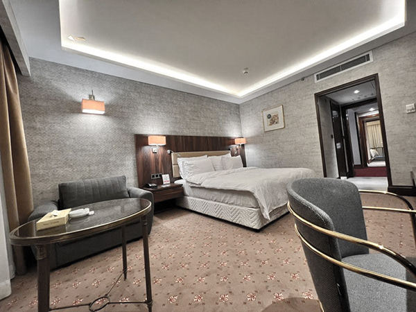 Parsian Esteghlal Int Hotel 房间翻新丨伊朗德黑兰丨AEonic Design-2